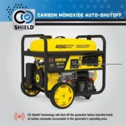 Champion® 3650-Watt Portable Generator W/ Wireless Remote Start /co Shield -Tools Kleina Shop 226712 BackView Lg